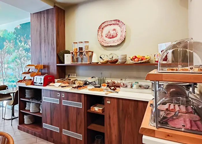 Otel De France, Un Ammi Nice